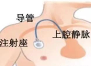 1a8a97c01605433f0627b07abe10d35