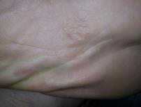 IMG_256
