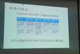 mmexport1713489305044.jpg