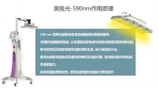 舒敏專家